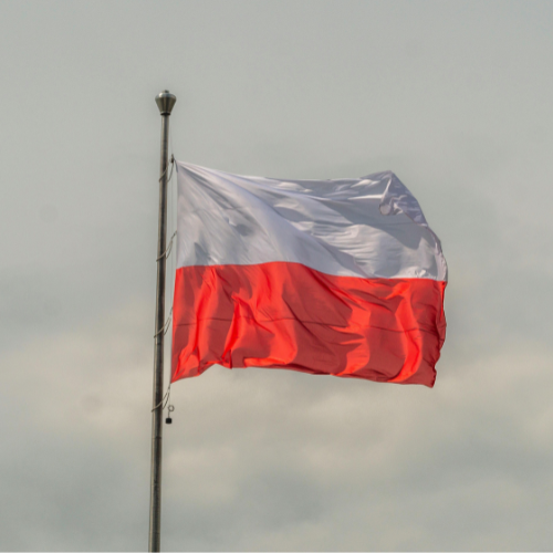 Prezydencki projekt nowelizacji ustawy o obywatelstwie polskim – co jest z nim nie tak?